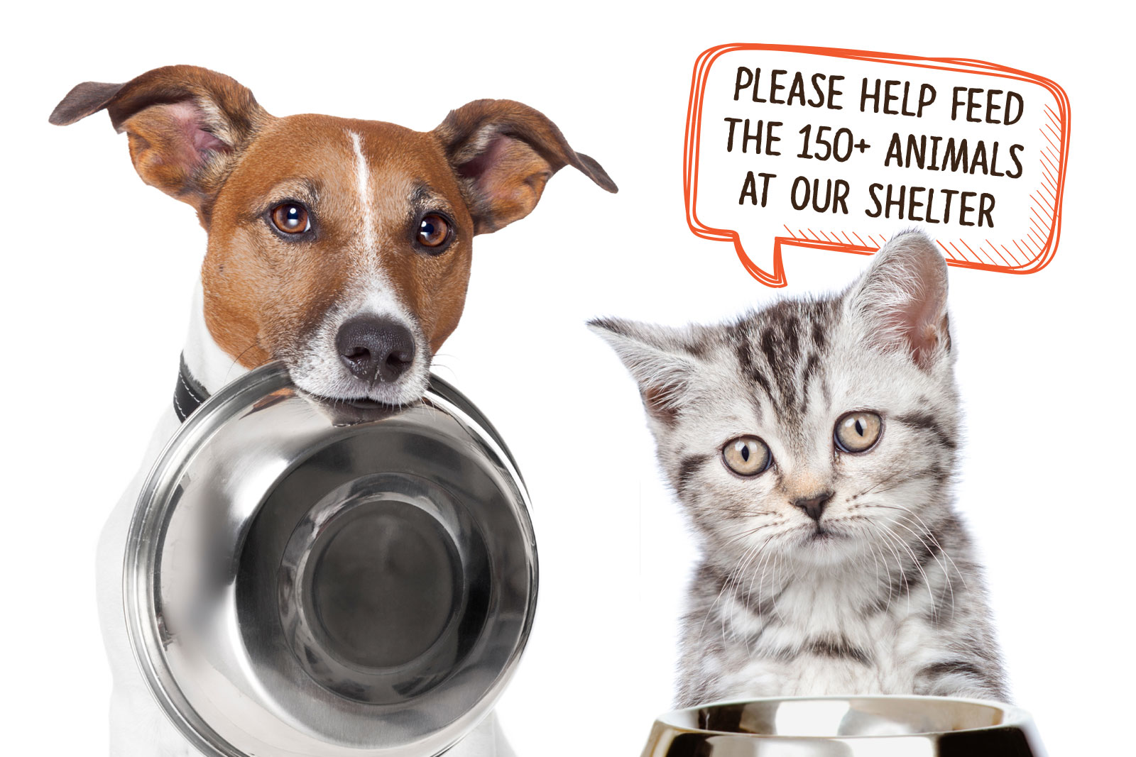 Pet Food Star - Action For Animals Humane Society